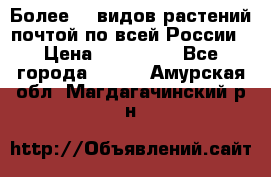 Более200 видов растений почтой по всей России › Цена ­ 100-500 - Все города  »    . Амурская обл.,Магдагачинский р-н